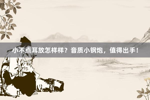 小不点耳放怎样样？音质小钢炮，值得出手！