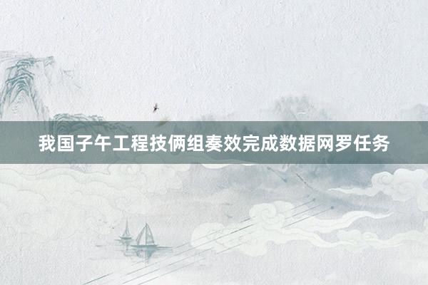 我国子午工程技俩组奏效完成数据网罗任务